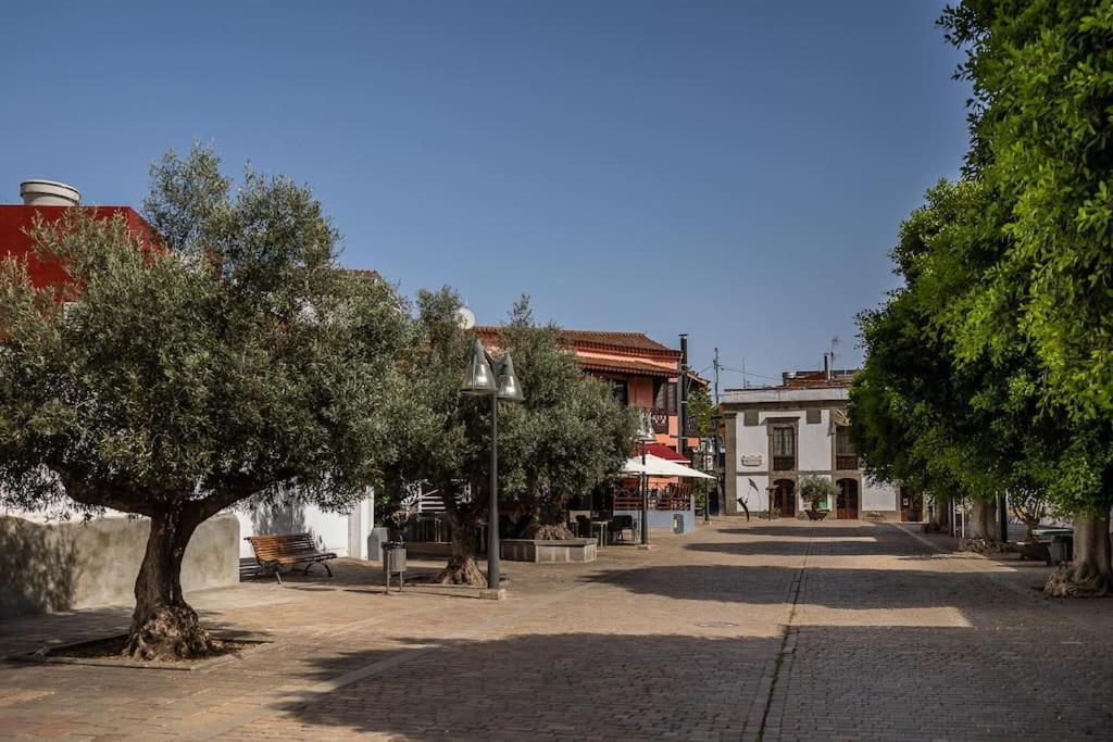 Apartamento En El Casco Historico De San Mateo Daire Vega de San Mateo Dış mekan fotoğraf